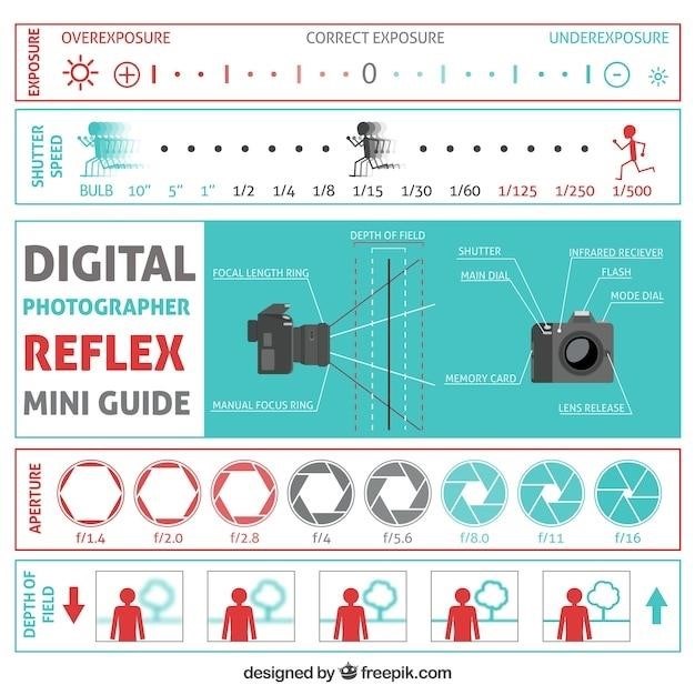 canon sx60 manual