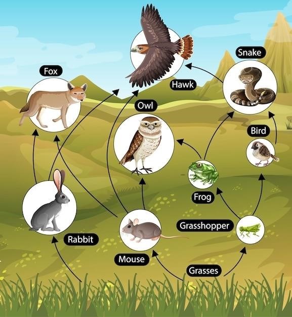 field guide to dumb birds of the whole stupid world